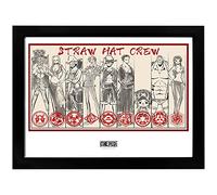 GB Eye GBYDCO058 Framed Collector Print One Piece Straw Hat Crew 30 x 40cm