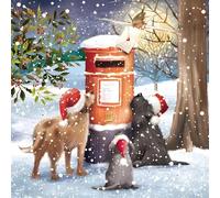 GBCC Paquete de tarjetas de Navidad solidarias de 10 unidades - Perros festivos y buzón de correo en la nieve - Paquete múltiple de tarjetas de felicitación premium con sobres - Apoyo a organizaciones