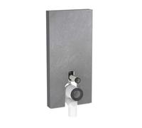 Geberit Monolith Plus - Módulo sanitario para inodoro independiente, 101 cm, suministro de agua inferior, aspecto de pizarra 131.202.00.7