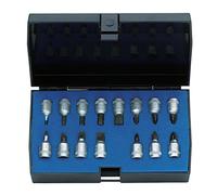Gedore INS 20 PM - Juego de vasos de destornilladores 1/4" IN-IS-PH-PZ
