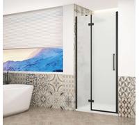 Gelco Trinity - Puerta de ducha de 120 cm, izquierda, cristal esmerilado/negro GT1212ML-B