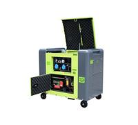 Generador eléctrico diésel insonorizado tipo Panda grupo electrógeno 5.5kW 230V