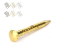 Generic 100 Uds. Clavos de Latón de Cabeza Redonda de Fácil Instalación con Función de Sujeción Fuerte para Bisagras de Muebles de 10mm/15mm/18mm/22mm (15 mm de largo)