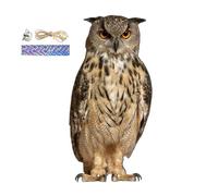 Genérico Ahuyentador De Pájaros, Ahuyentador De Pájaros, Repel De Palomas, Balcón, Búhos 2D, Espantapájaro