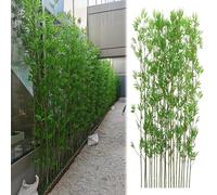 Genérico Árbol de bambú Artificial para Exteriores de 3, 4, 5, 6, 6,5 y 7 pies de Altura, Planta de bambú Artificial de Seda con Hojas para jardín, Valla, privacidad, decoración, Pantalla,
