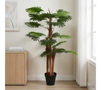 Genérico Árbol de Palma Artificial con Hojas Verde 60 x 25 x 170 cm,Casa y jardín,Plantas,Plantas de Interior y Exterior,10.8 kg-42042064