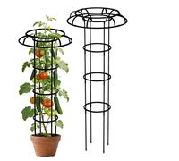 Generico Enrejado de jardín ornamental para paisajismo | Soporte de paraguas para plantas en maceta para frijoles, guisantes, tomates, clemátides, alféizar, balcón
