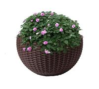 Genérico Maceta Colgante, Macetero Pared Transpirable para Interior Exterior, Cesta Colgante Ratán Balcón con Ganchos Desmontables, Cesta Pared Semicircular Flores Fresas, para Jardín