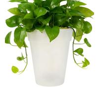 Generico Macetero con LED, macetas impermeables para iluminación de jardín - Maceta para plantas LED de energía solar | Ideal para caminos, jardines, exteriores, casa, patio, regalo de cumpleaños o