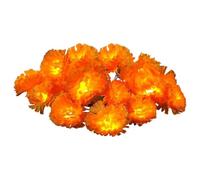 Genérico Marigold Lights String | 20ft 40 Leds Day of The Dead Decoration