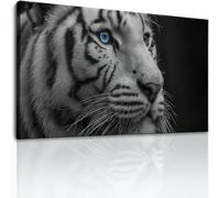 Generisch Cuadro sobre lienzo, 70 x 50 cm, para dormitorio, baño, decoración de pared, salón, salón, majestuoso animal tigre, moderno y elegante, póster sin marco, color negro