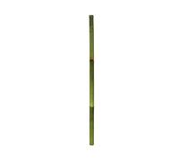 Gerimport Palo de Bambú Verde 7 x 120 cm - Decoración Natural para Interiores y Exteriores, Ideal para Proyectos Creativos, Soportes de Plantas y Arreglos Florales, Añade Estilo y Frescura a Tu Hogar