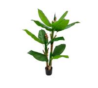 Gerimport Planta Ave del Paraíso x 3 -150cm