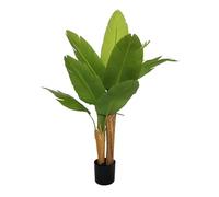 Gerimport Planta PLATANERO LVs R/T 120 CM