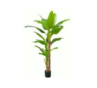 Gerimport Planta Platanero LVS R/T 200cm