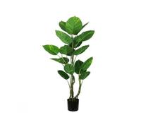 Gerimport Planta Potus Exotic X 17 -130 cm