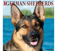 German Shepherds 2027 Wall