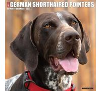 Willow Creek Press, Just German Shorthaired Pointers - Calendario de pared 2027