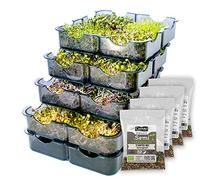GermoglioSì - Germinador Manual multifunción + 4 Pack de Semillas GRATIS, 4 bandejas de plástico Patentado