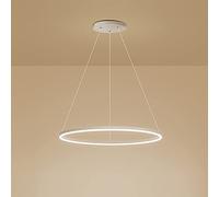 GESMOS Anillo único LED Luz Colgante Nórdico Moderno Círculo Lámpara de Araña Ajustable Lámparas Colgantes Para Sala De Estar Isla De Cocina Mesa De Comedor(40CM 25W,White, Stepless Dimming)