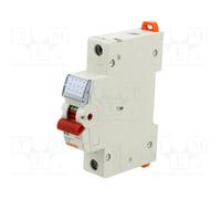 GEWISS GW96106 Interruptor de aislamiento