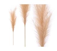 GIFTDECOR Rama Decorativa 110cm Beige