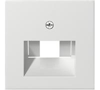 Gira 027027 placa de pared y cubierta de interruptor blanco