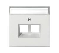 GIRA 2640112 Abdeckung BSF Modular Jack 30° 2fach Flächenschalter Reinweiß