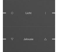 GIRA 5032928 - Juego de interruptores dobles individuales, sensor táctil 4 TS4, aluminio, color antracita ()