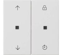 GIRA 536327 S3000 - Panel de control. Sistema de memoria 55 (536327)