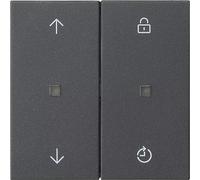 GIRA eNet Funk 549228 - Panel de control con memoria, sistema 55