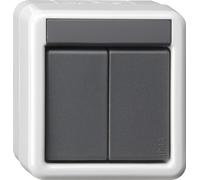 GIRA Interruptor de dos vías, modelo BA, para 2 puntos, serie WG, referencia 516230, color gris