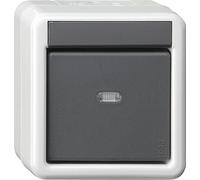 Gira Interruptor KNX de 1 vía y 2 puntos para montaje en superficie Gris - 515230