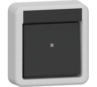 Gira IP44 Interruptor De Palanca De Dos Polos Montaje En Superficie Gris - 310235
