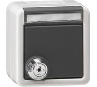 Gira IP44 Toma SCHUKO Exterior Con Tapa Bloqueable - 456930