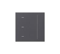 GIRA S3000 536528 - Accesorio táctil para sistema 55, color antracita