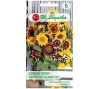 Girasol de altura media-alta, individual, para flor cortada, mezcla