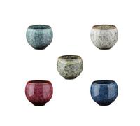 GJgfjGHK Taza infusora de té con diseño de huevo de dragón Jian Ware, taza de cerámica que cambia de horno con aislamiento térmico, gran capacidad para uso en casa y oficina (mezcla de 5 piezas)