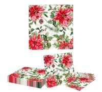 GlamRays Servilletas de Papel Navideñas 20 Unidades 32x32cm Doble Capa Absorbente Servilletas Desechables con Motivo de Estrella Navideña para Cenas Festivas Invierno y A