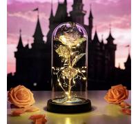Glasseam La Bella Y La Bestia Se Levantó En Una Cúpula De Cristal con Luces LED Blancas Cálidas Flores De Cristal Eternas Regalo De Cumpleaños Encantada para Ella para El Aniversario