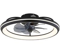 Globo Lighting Celeste lámpara de techo 1x40 W negro 03643