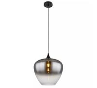 Globo Lighting Maxy lámpara colgante 1x60 W negro-humado 15548H2