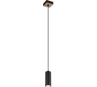 Globo Lighting Robby lámpara colgante 1x35 W negro-madera 57911HBW