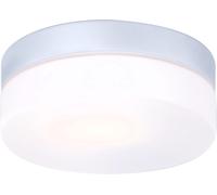 Globo Lighting Vranos plafón exterior 1x60 W plata-vidrio opalino 32111