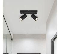 Globo Robby downlight de techo, negro, longitud 26 cm, 2 luces, metal