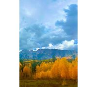 Golden Silence Lined Notebook