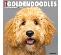Willow Creek Press, Just Goldendoodles - Calendario de pared 2027