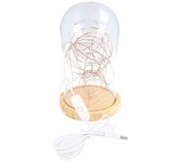 goobay 60340 Campana de cristal con cadena de luces LED/lámpara decorativa/luz cálida y tranquilizadora/iluminación festiva para decoración de invierno, Navidad, decoración de interiores