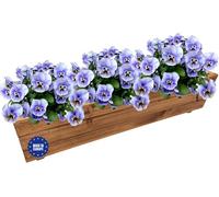 GoodFreshDecor Macetero Madera Jardinera Maceta Exterior Interior Jardín Terraza Balcón Rectangular Decoración 39,5 x 20 x 17 cm Color marrón