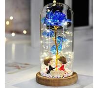 GoodLuck Artificial Eternal Rose Beauty and Beast Rose en Cubierta de Vidrio Luz de Noche LED para decoración del hogar Día de San Valentín Regalo de Año Nuevo de la Madre